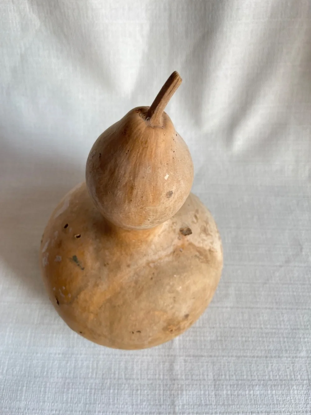 Restoration Hardware Natural Brown Gourd Accent